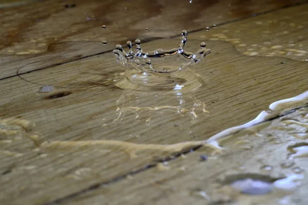 piotr-laskawski-_dRvgM3mlTM-unsplash